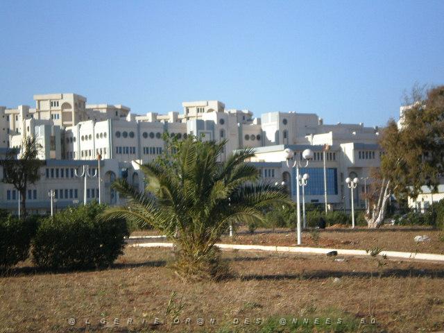 VOYAGE ORAN 30 05 2008 AU 06 06 2008 P6010284.JPG